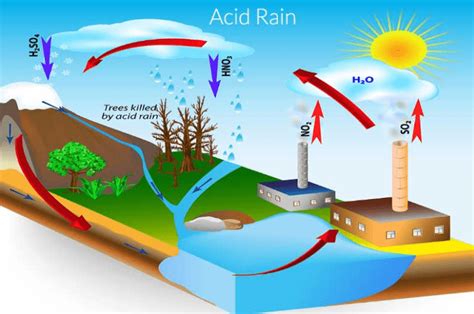 What Causes Acid Rain In Canada